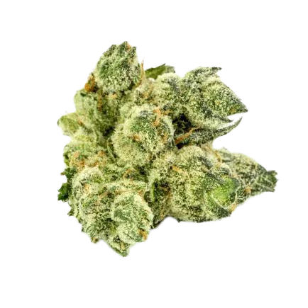 Alien OG Strain: Otherworldly Relaxation – Secret Nature