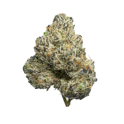 Cookie Bread Strain: The Perfect Balance Between Energy and Calm