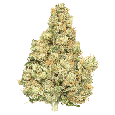 Fuji Strain: CBD Relaxation With Fresh Apple Sweetness