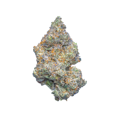 Purple Rain Strain: A Prince Among Indicas