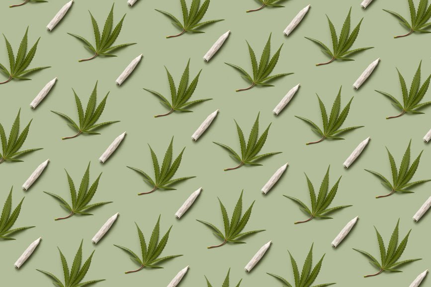 Delta 8 Drug Test Guide - Secret Nature