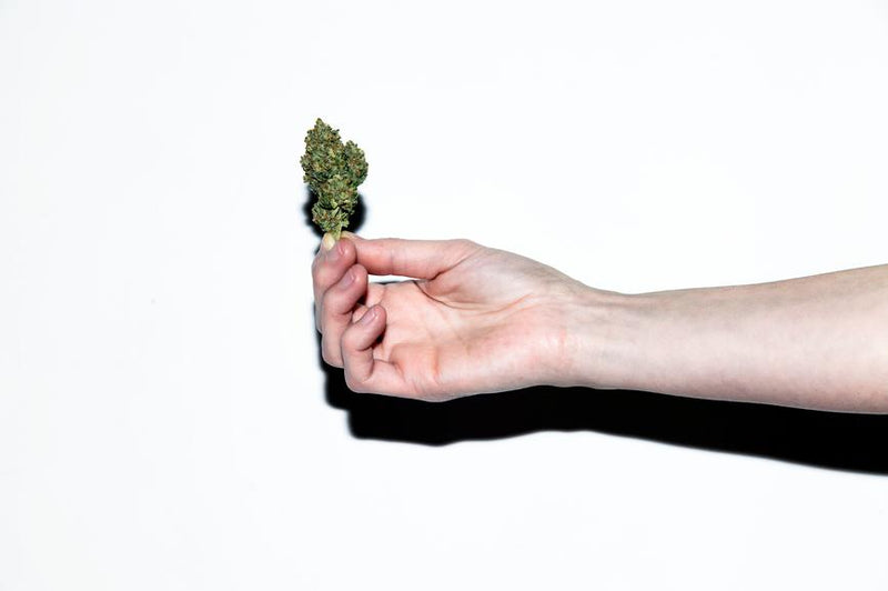 RED ALERT: How to Stop Smoking Weed Cold Turkey