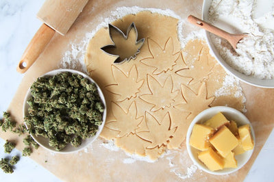 Sativa vs Indica Edibles: What Does the Research Say?