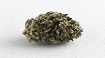 Gorilla Glue Strain: Stuck in the Best Way