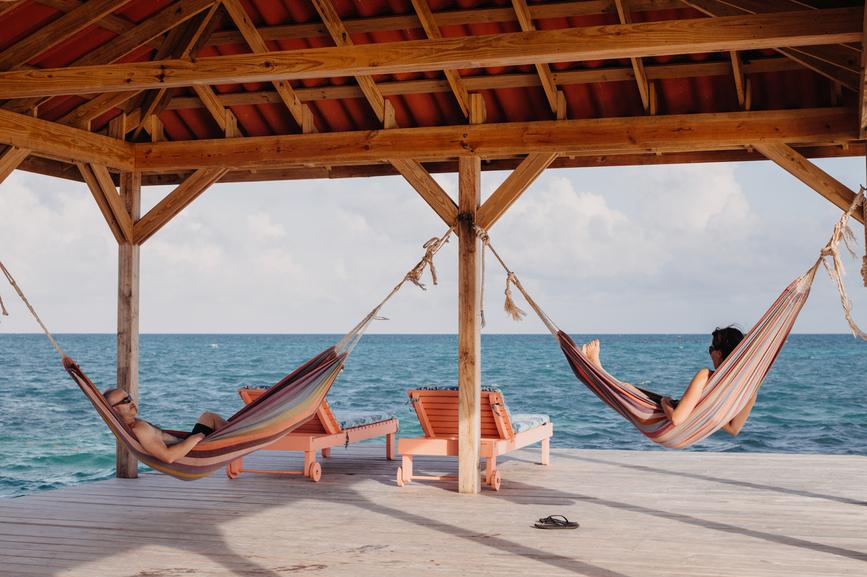 What Is CBDV Flower, and Does It Get You High? - Secret Nature