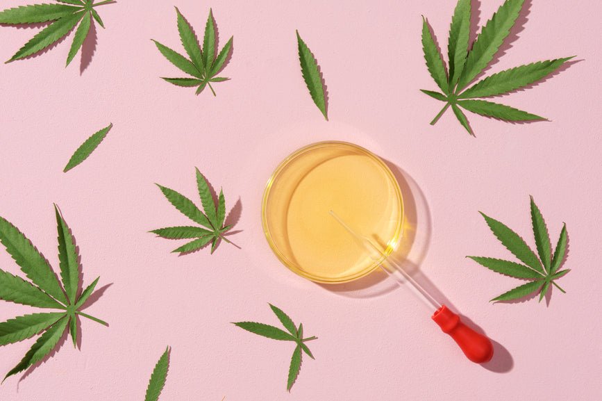 What Is Full-Spectrum CBG Oil? - Secret Nature