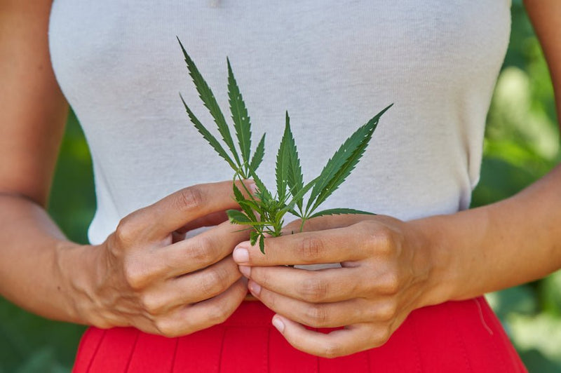 What Is H4CBD?
