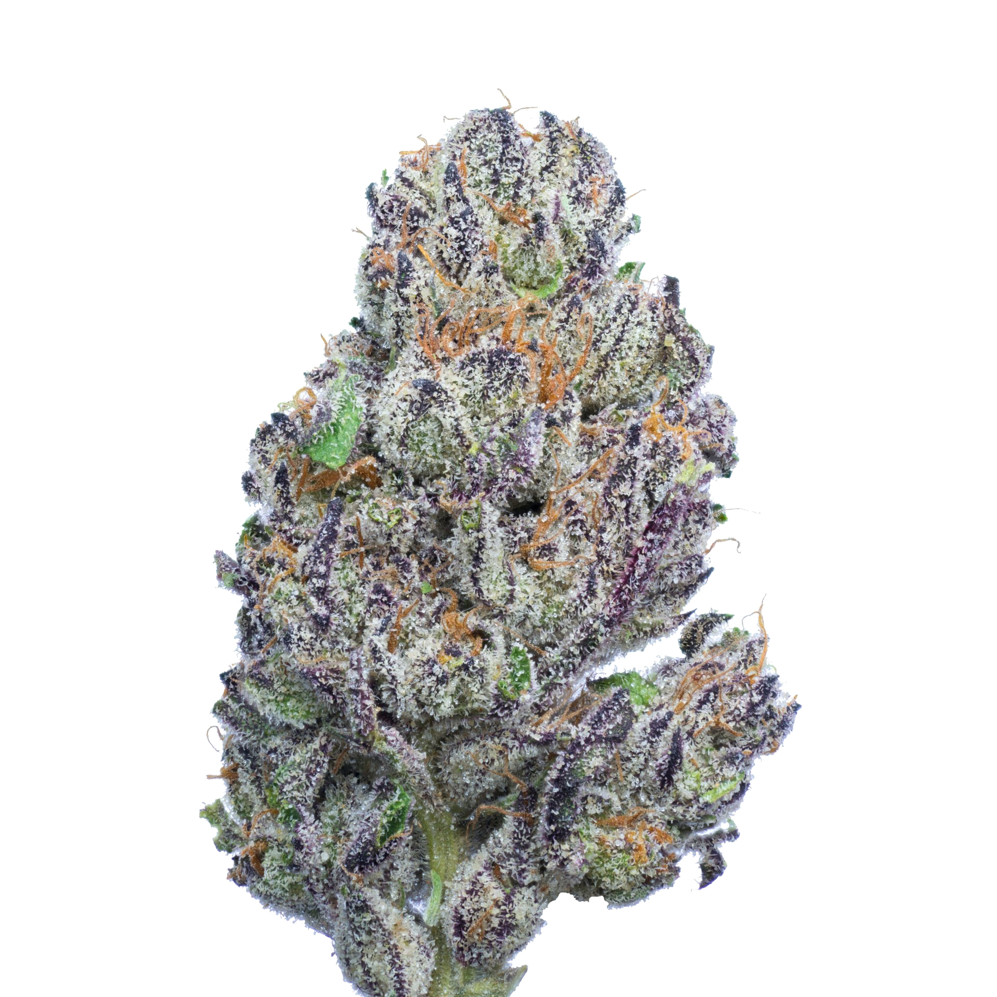 Strawnana 5 - High THCA Indoor Hemp Flower | Secret Nature