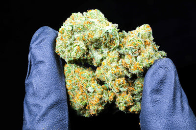 3 Reasons To Buy Papaya Nights CBD Flower by Secret Nature