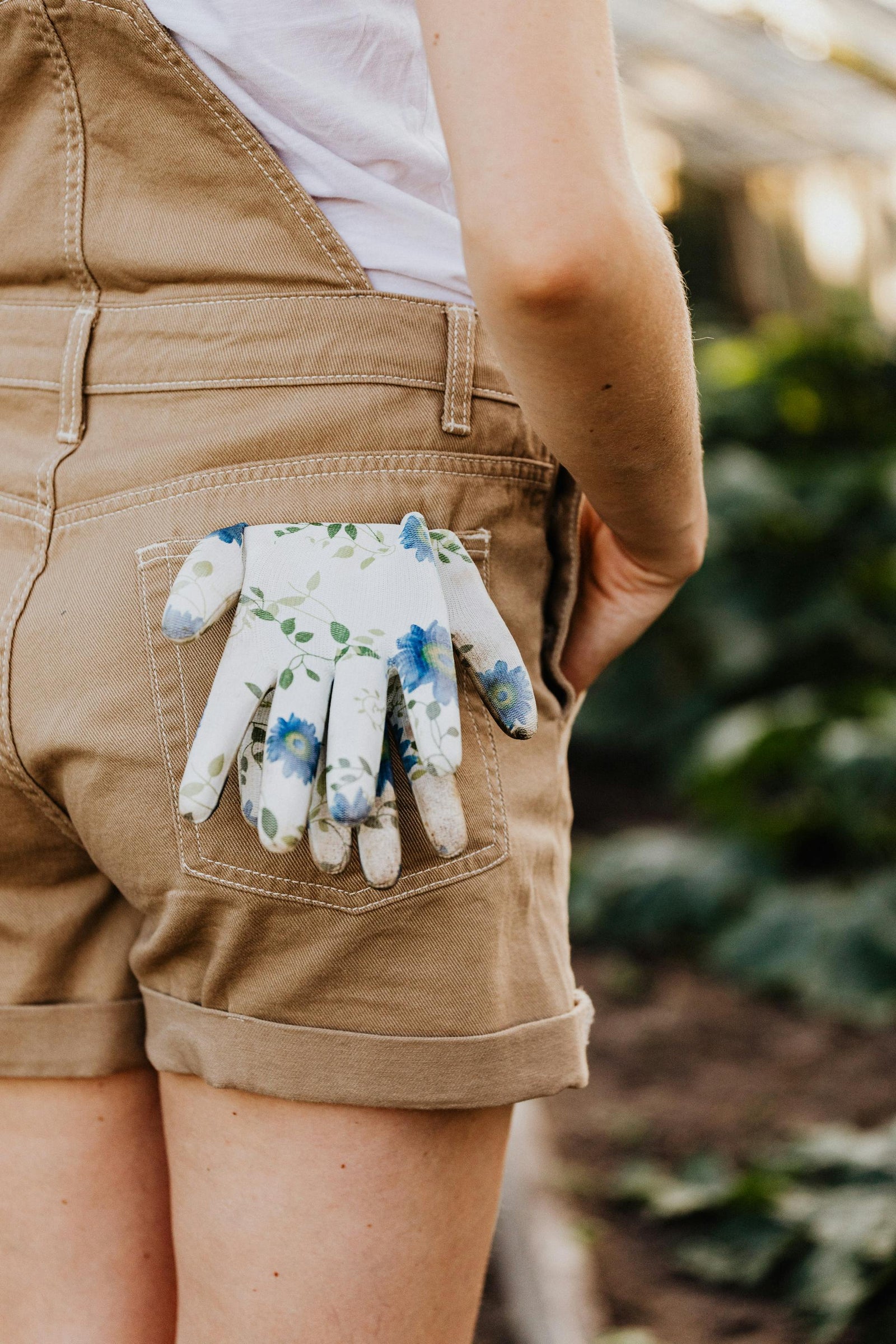 What Are Adaptogenic Mushrooms?