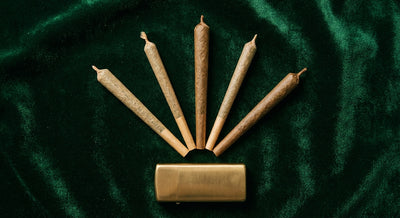 Top THCA and CBD Pre-Roll Brands Compared [2026 Review]