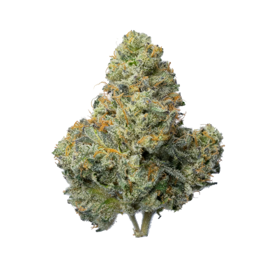 Animal Runtz Strain: Effects, Terpenes & What to Expect
