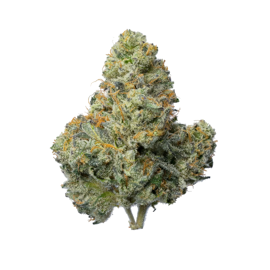 Animal Runtz Strain: Effects, Terpenes & What to Expect