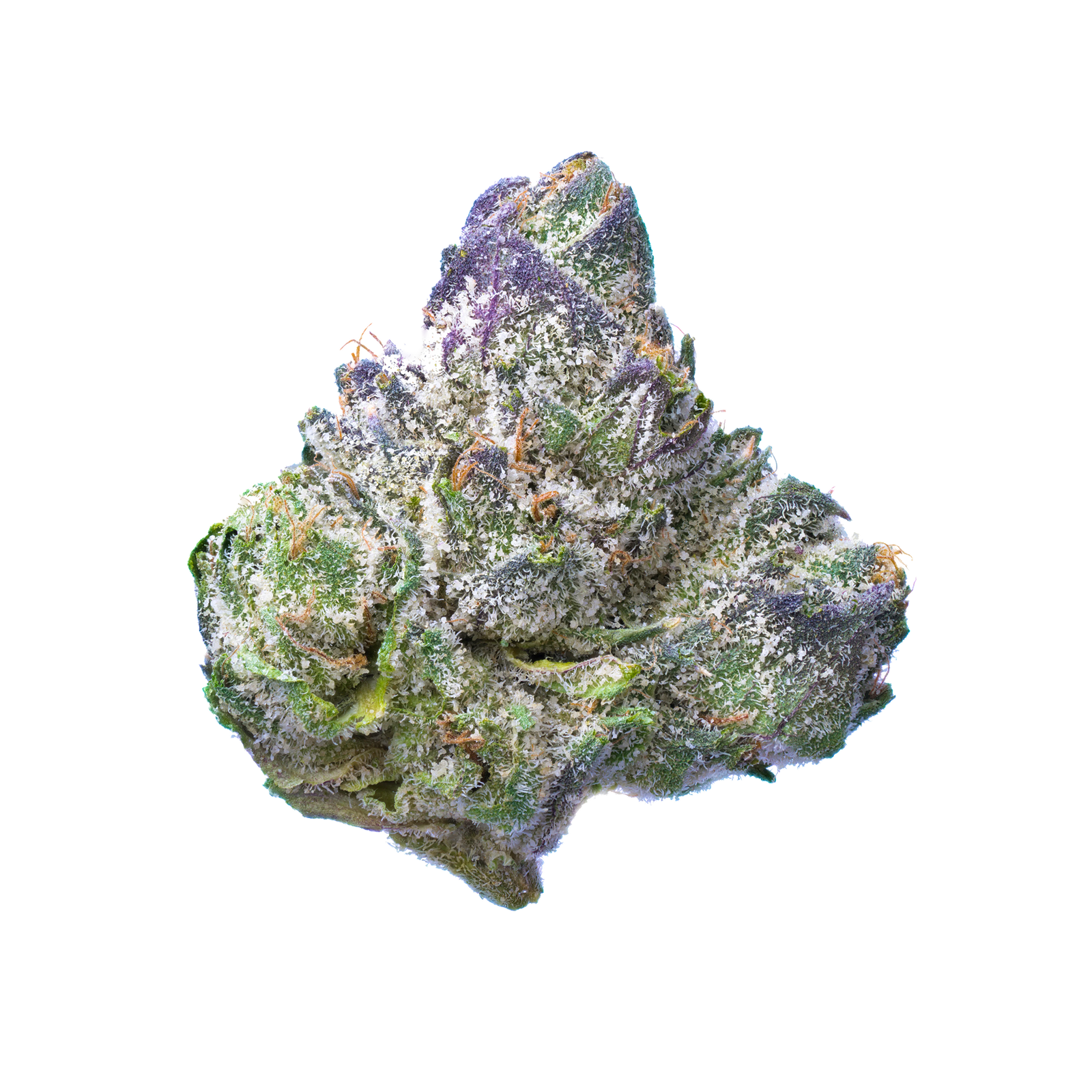 Black Cherries Strain: Dark Fruit, Deeper Relaxation