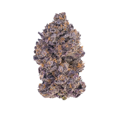 Black Truffle Strain: Effects, Terpenes & What to Expect