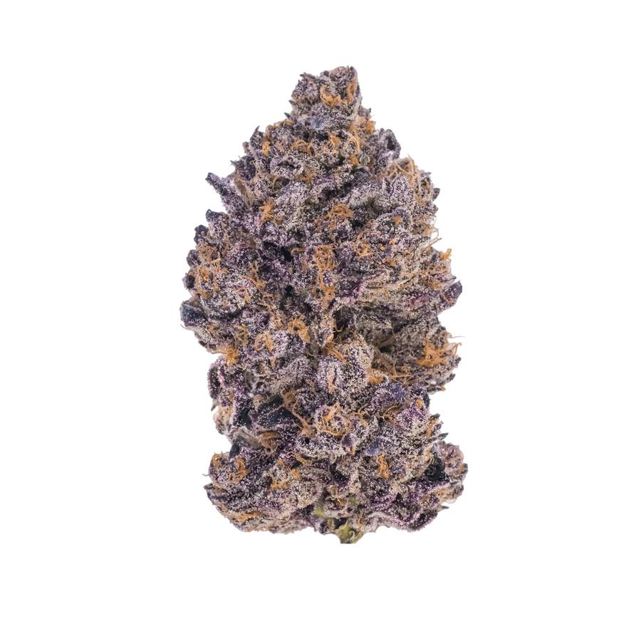 Black Truffle Strain: Effects, Terpenes & What to Expect