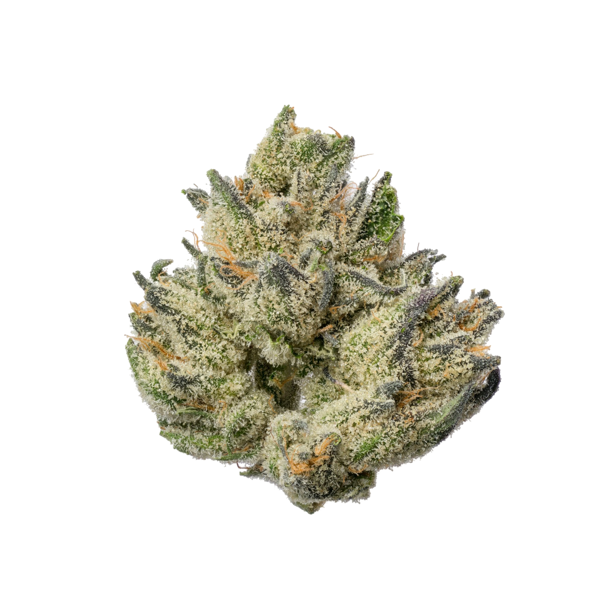 Blue Runtz Strain: A Candy-Coated Journey Into Deep Euphoria