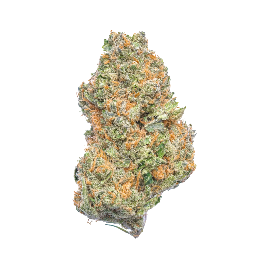 Bruce Banger Strain: High-Octane Energy for Ambitious Days