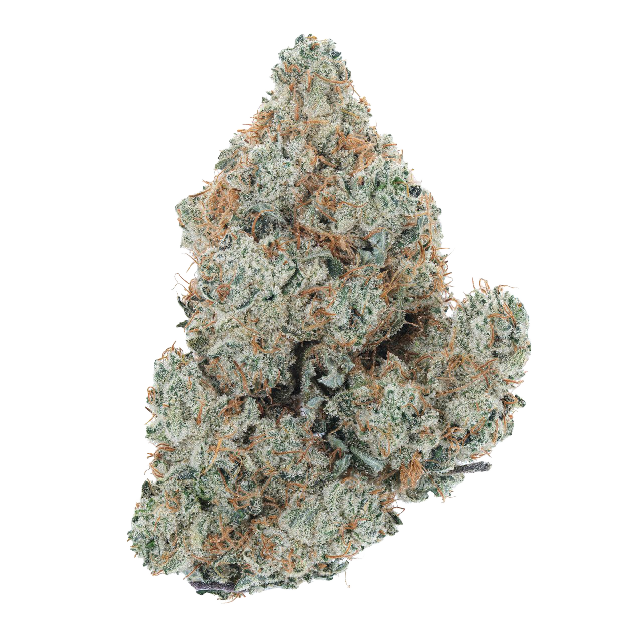 Cherry Bomb Strain: Explosive Flavor, Balanced Euphoria