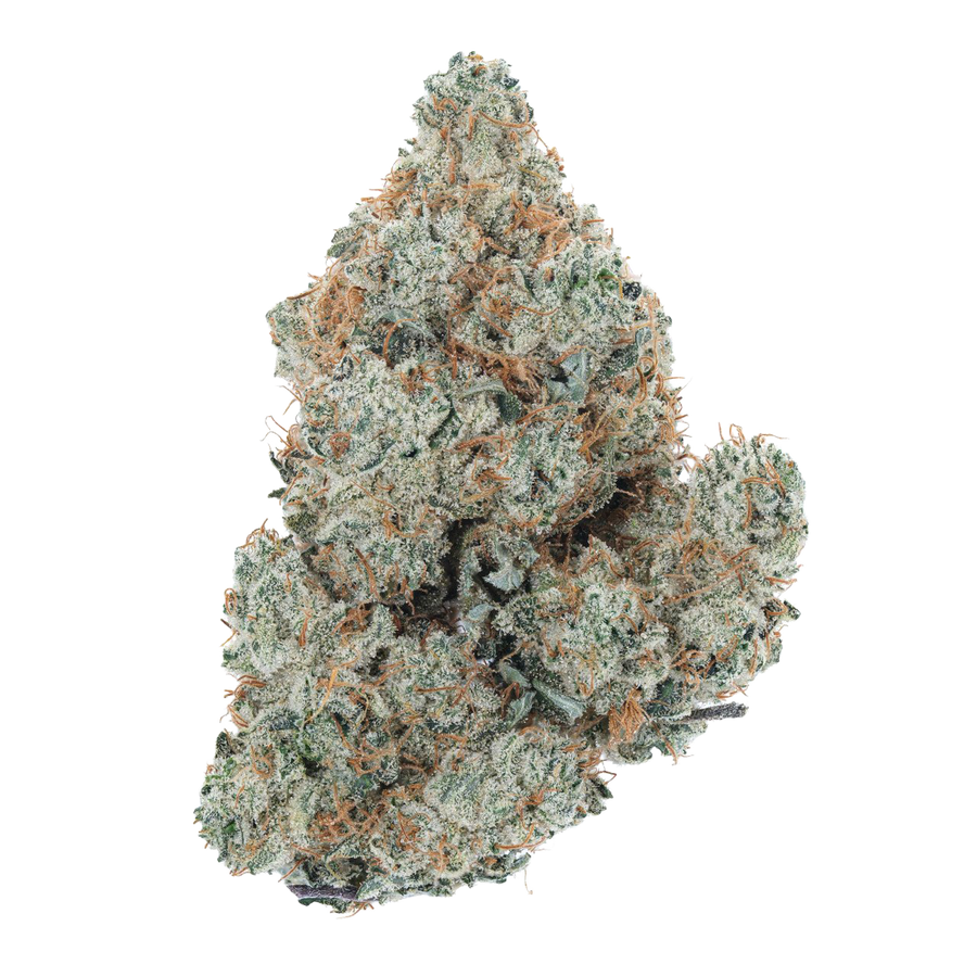 Cherry Bomb Strain: Explosive Flavor, Balanced Euphoria