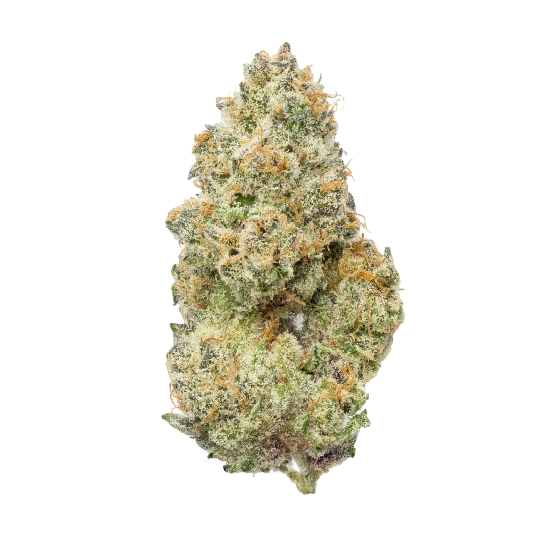 Cherry Kush Strain: Deep Indica Relaxation Meets Cherry Sweetness