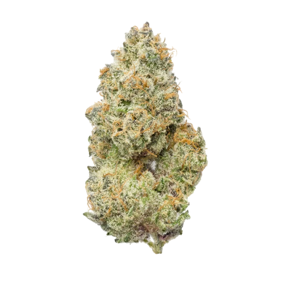 Cherry Kush Strain: Deep Indica Relaxation Meets Cherry Sweetness