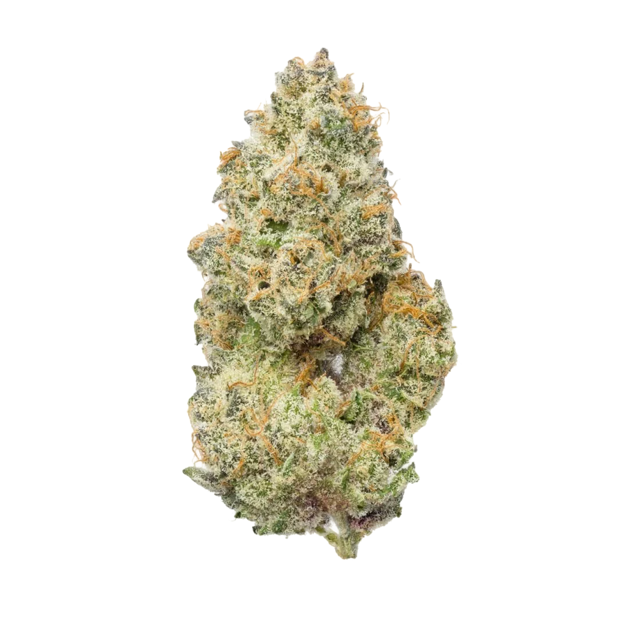 Cherry Kush Strain: Deep Indica Relaxation Meets Cherry Sweetness