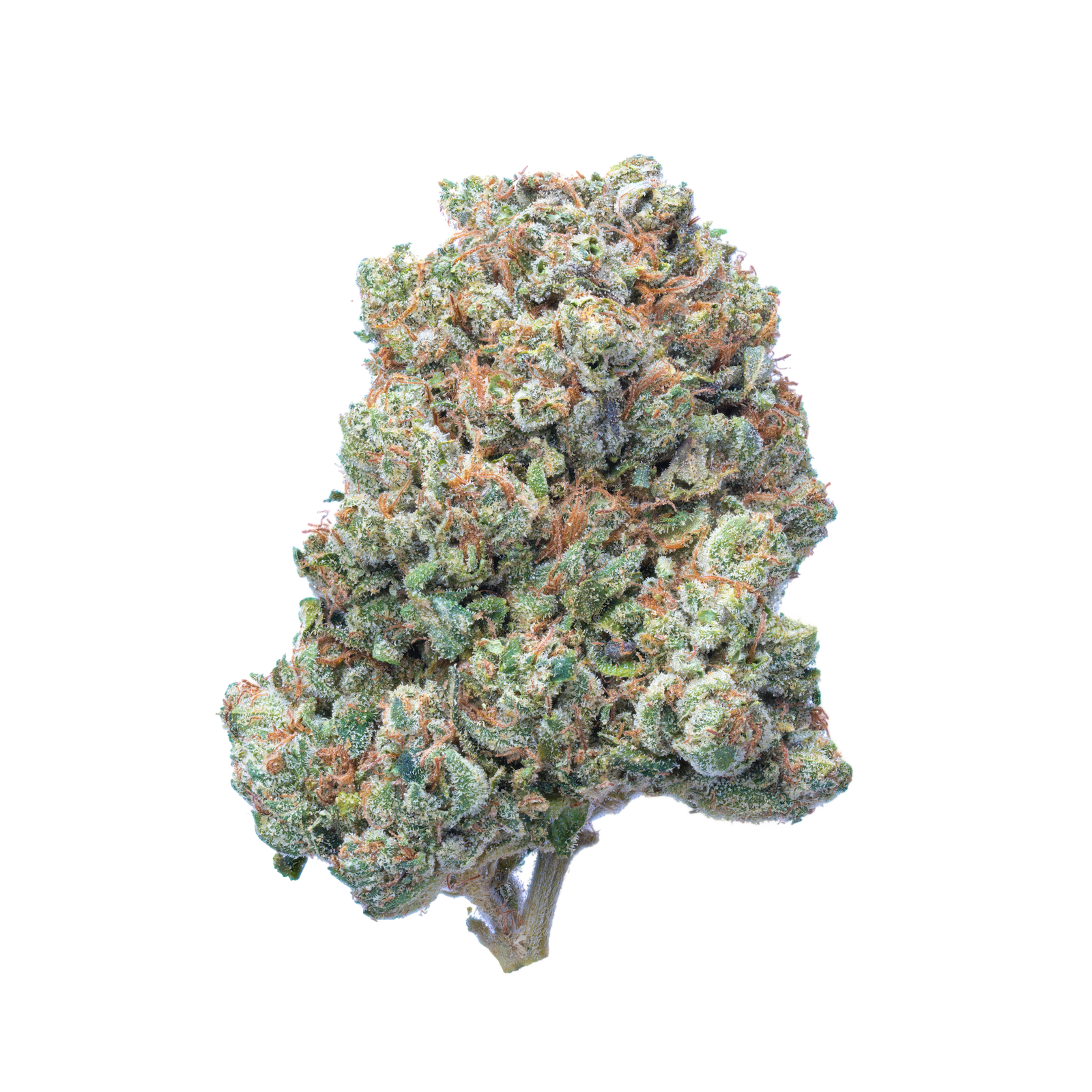 SFV OG: San Fernando Valley's Gift to Cannabis Culture