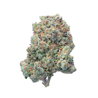 SFV OG: San Fernando Valley's Gift to Cannabis Culture