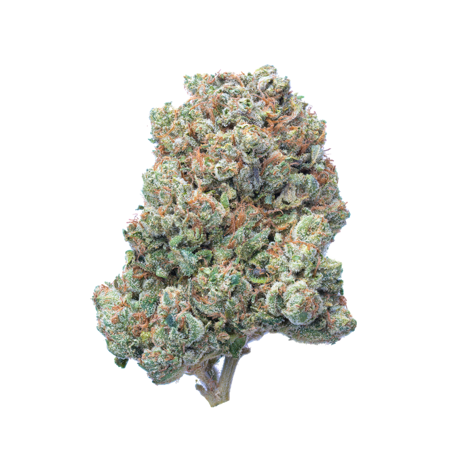 SFV OG: San Fernando Valley's Gift to Cannabis Culture