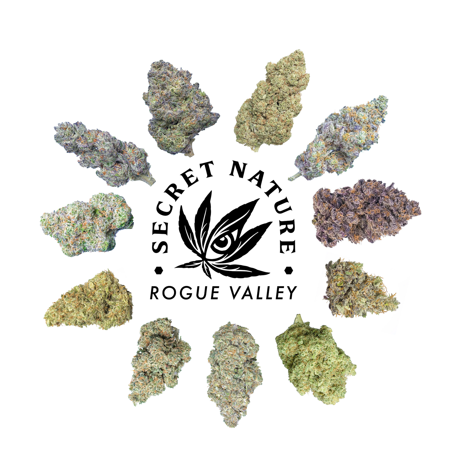 Insights on How THCA Interacts With the Endocannabinoid System