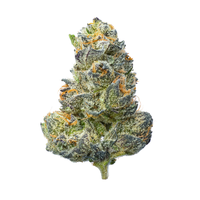 Trix Strain: Candy-Coated Relaxation for Grown-Ups