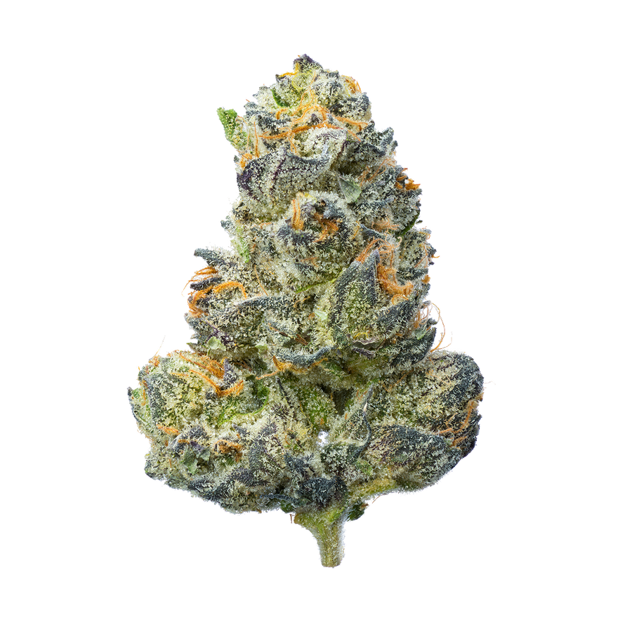 Trix Strain: Candy-Coated Relaxation for Grown-Ups