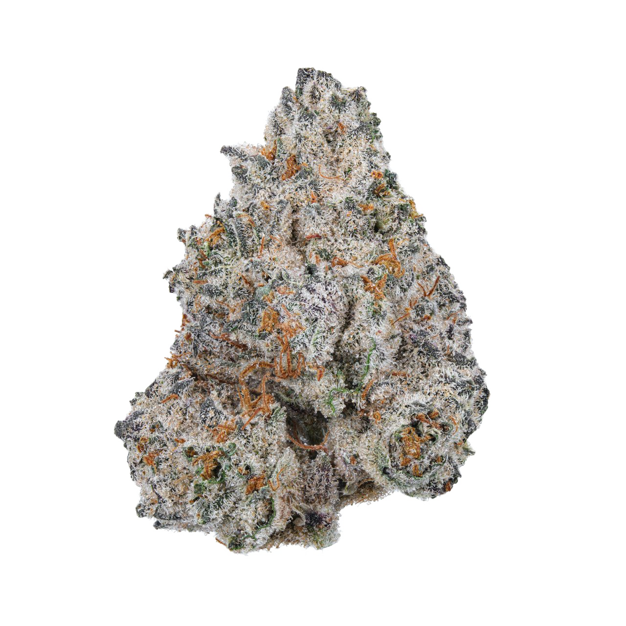White Truffle Strain: Earthy Elegance Meets Cerebral Bliss