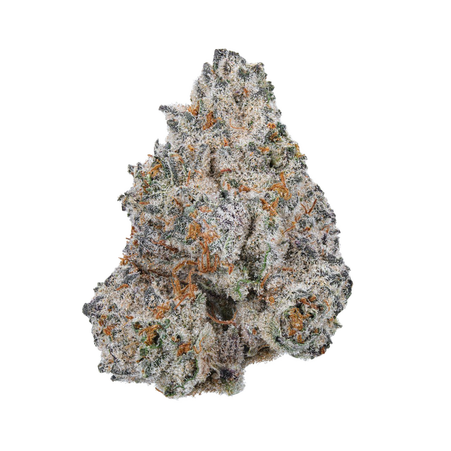 White Truffle Strain: Effects, Genetics, Potency and How to Grow It