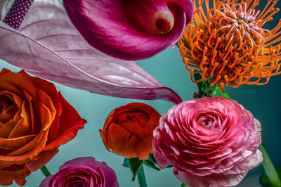 Are Cannabinoids Active Botanicals?