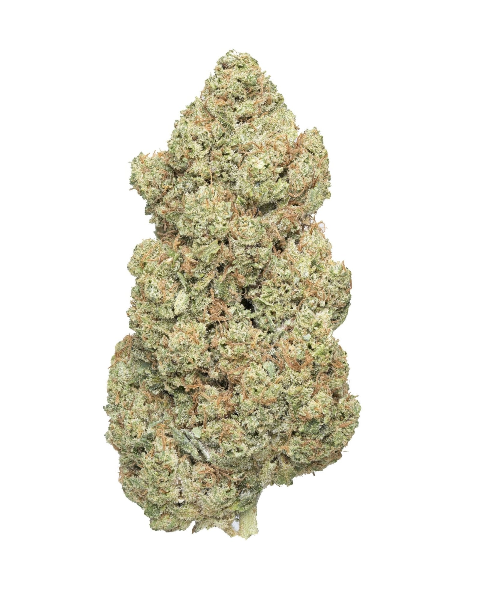 Bazooka Strain: Explosive Energy and Mental Clarity
