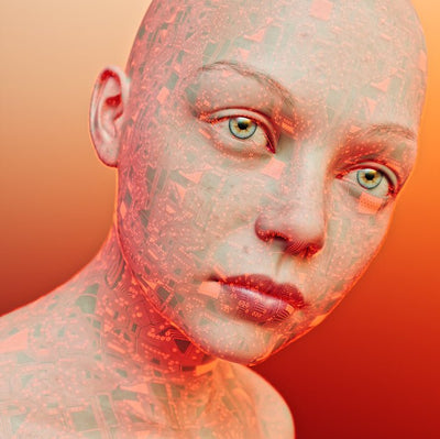 Beginner’s Guide to the Endocannabinoid System