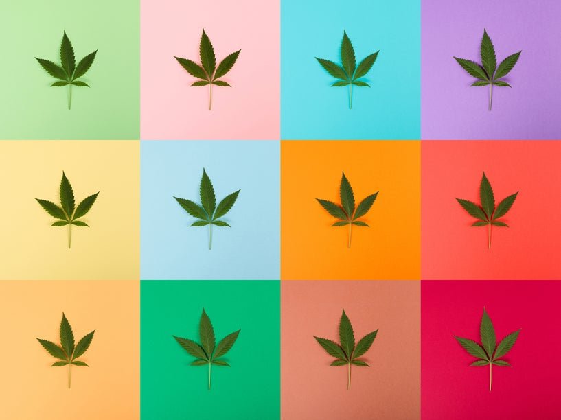 Best 5 Exotic Weed Strains - Secret Nature