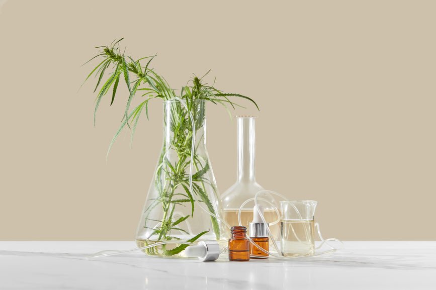 Best USDA Organic CBD Online - Secret Nature