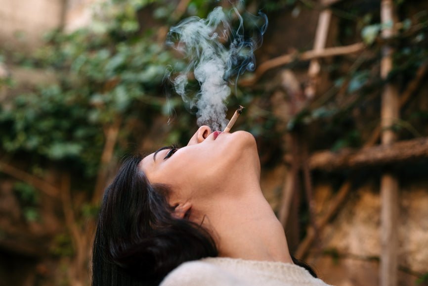 Can You Take Nootropics with CBD? - Secret Nature