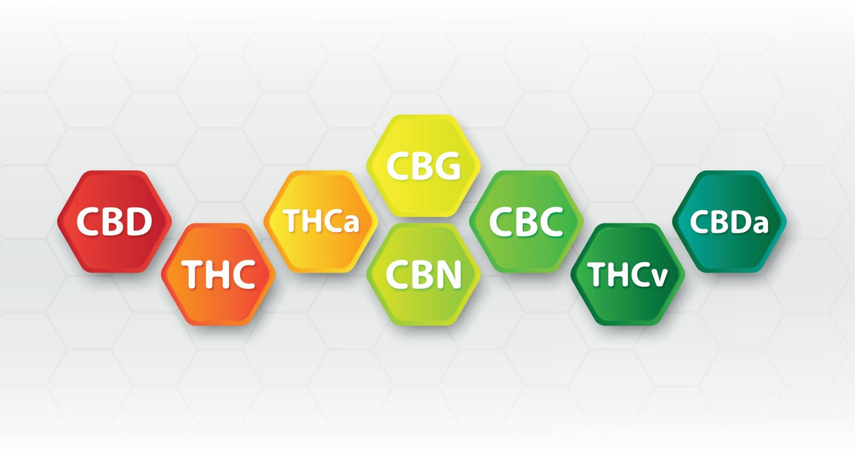 CBDA (Cannabidiolic Acid) Guide - Secret Nature