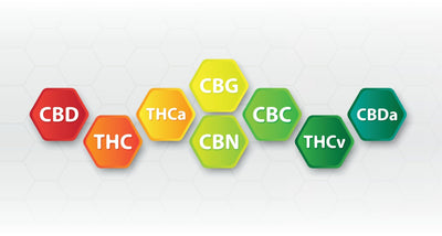 CBDA (Cannabidiolic Acid) Guide