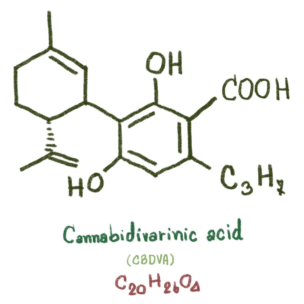 CBDVA (Cannabidivarinic Acid) Guide – Secret Nature