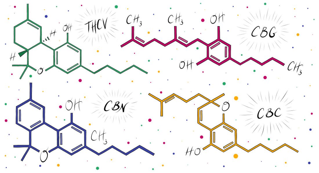 CBG vs. CBD vs. CBN vs. CBC - The Ultimate Comparison Guide - Secret Nature