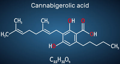 CBGA (Cannabigerolic Acid) Guide