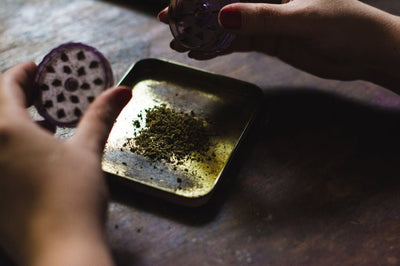 Do I Need a Grinder for CBD Flower?