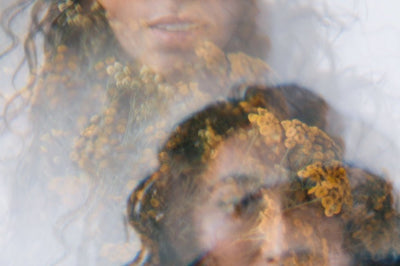 Does Weed Expire? Complete Guide