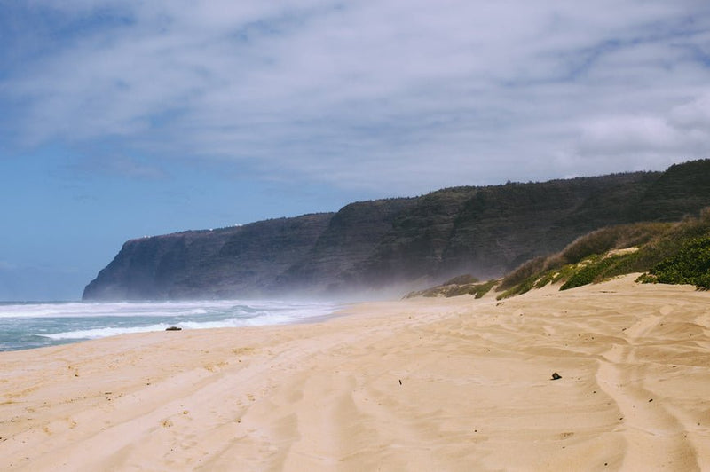 Hawaiian Haze Strain Intro & Top 3 Alternatives - Secret Nature