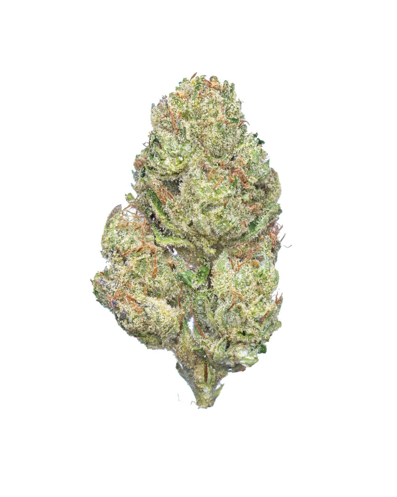 Close-up of THCA hemp flower with dense trichomes and vibrant orange pistils, showcasing the plant's rich texture and quality.